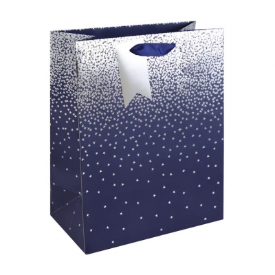 NAVY OMBRE LARGE BAG
