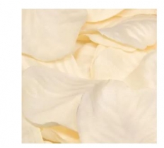 ELEGANZA ROSE PETALS - CREAM 164PCS