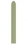 Sempertex 260 Fashion Eucalyptus Latex Balloons 50 Pack