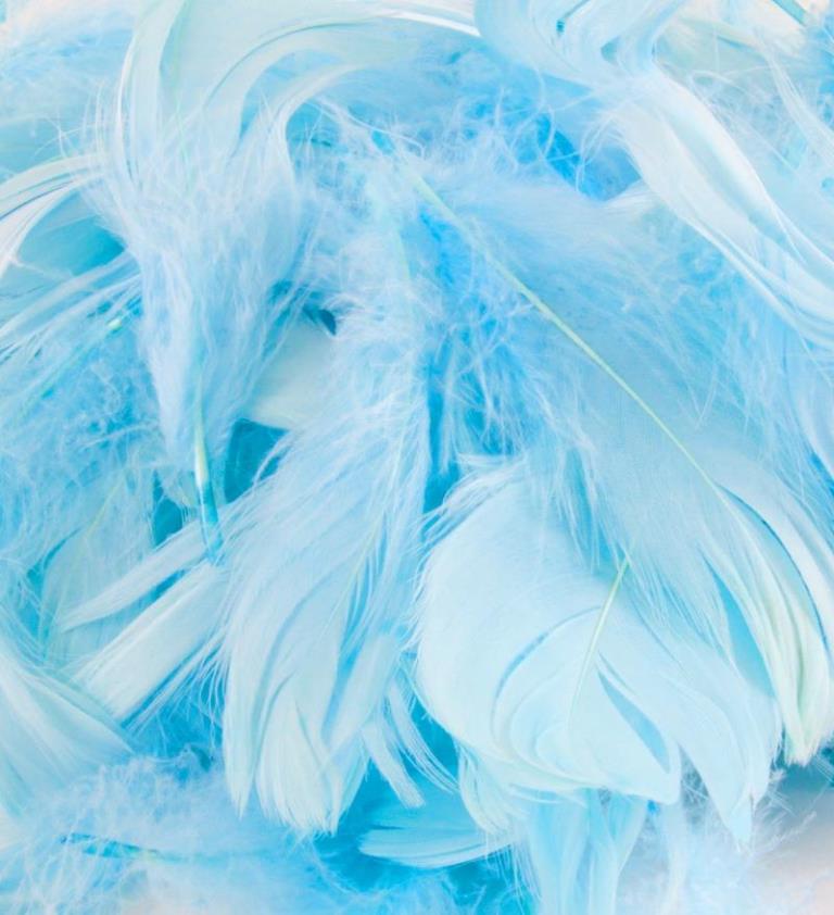 Eleganza Feathers Mixed sizes 3"-5" 50g bag Light Blue No25 - Click Image to Close