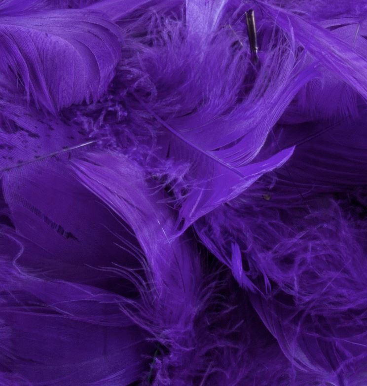 Eleganza Feathers Mixed sizes 3"-5" 50g bag Purple No.36 - Click Image to Close